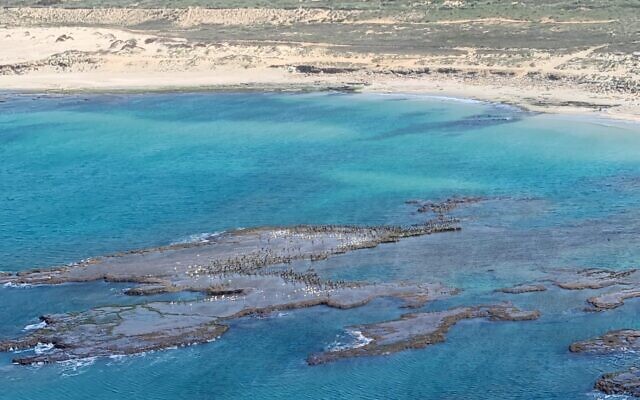 Photographs of tar contamination along Israel's northern beaches, taken from a helicopter by Israel Nature and Parks Authority Director, Shaul Goldstein, on February 22, 2021.