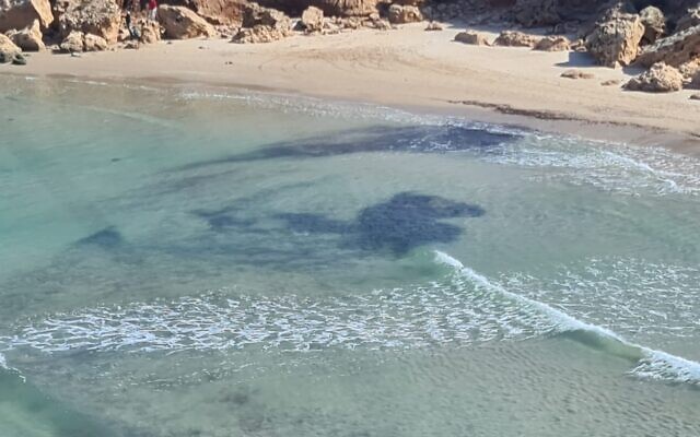 Photographs of tar contamination along Israel's northern beaches, taken from a helicopter by Israel Nature and Parks Authority Director, Shaul Goldsteiin, on February 22, 2021.