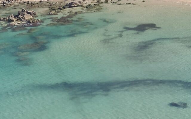 Photographs of tar contamination along Israel's northern beaches, taken from a helicopter by Israel Nature and Parks Authority Director, Shaul Goldsteiin, on February 22, 2021.