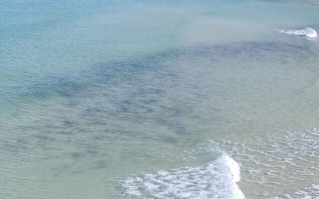 Photographs of tar contamination along Israel's northern beaches, taken from a helicopter by Israel Nature and Parks Authority Director, Shaul Goldsteiin, on February 22, 2021.