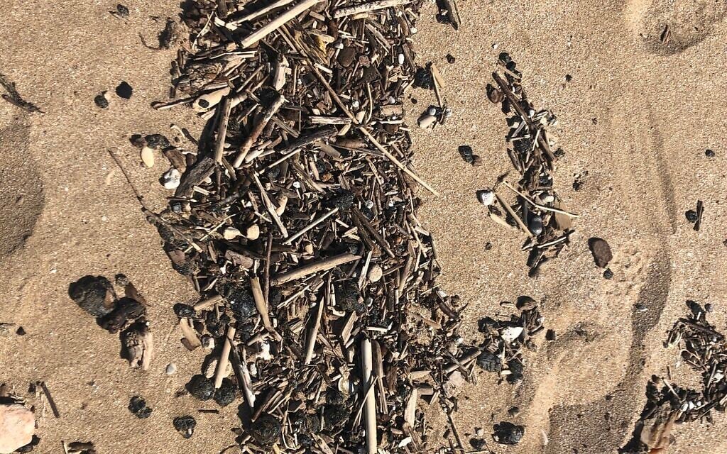 Tar mixed with trash and bits of driftwood, Achziv beach, February 25, 2021. (Sue Surkes/Times of Israel)