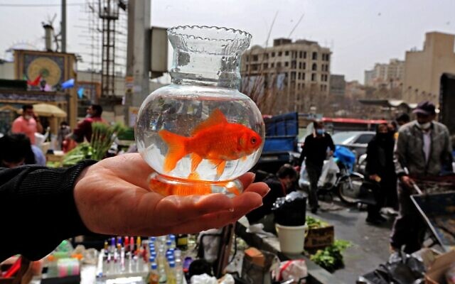 An Iranian man holds a goldfish in a bowl at the Tajrish Bazaar in Tehran on March 17, 2021, as Iran prepares to celebrate Nowruz, the Persian New Year. (Atta Kenare/AFP) An Iranian man holds a goldfish in a bowl at the Tajrish Bazaar in Tehran on March 17, 2021, as Iran prepares to celebrate Nowruz, the Persian New Year. (Atta Kenare/AFP)