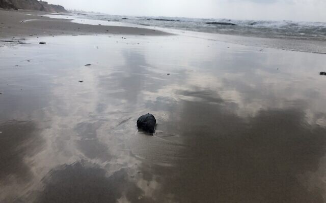 A fresh ball of tar on the beach at the Gador Nature Reserve in northern Israel, March 2, 2021. (Sue Surkes/Times of Israel) A fresh ball of tar on the beach at the Gador Nature Reserve in northern Israel, March 2, 2021. (Sue Surkes/Times of Israel)