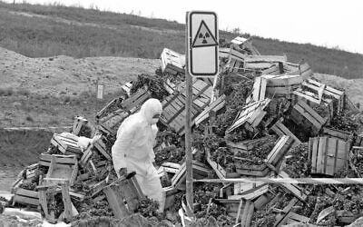 A worker wearing a protective overall and mask is seen amid boxes full with contaminated vegetables on the landfill in Berlin-Wannsee on May 9, 1986. Vegetables with low radiation were being stored at this landfill following a decision of the local authorities in Berlin which banned the sale of contaminated leafy vegetables due to the recent nuclear accident in Chernobyl, Soviet Union. (AP Photo/Rainer Klostermeier/str)
