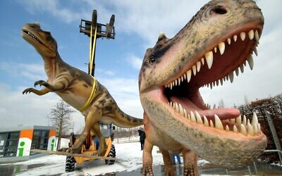 In this Tuesday, March 7, 2006 file photo, life-sized Tyrannosaurus rex models are unloaded for a dinosaur exhibition in Potsdam, Germany. (AP Photo/Sven Kaestner)