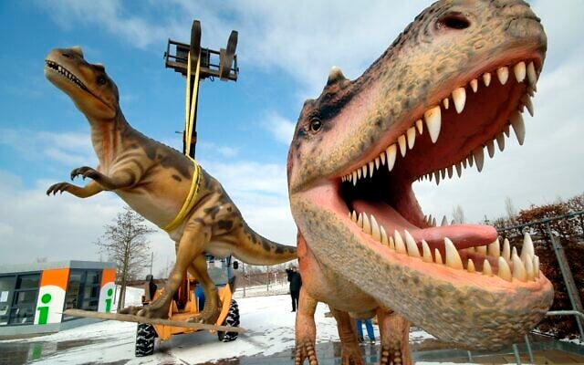 In this Tuesday, March 7, 2006 file photo, life-sized Tyrannosaurus rex models are unloaded for a dinosaur exhibition in Potsdam, Germany. (AP Photo/Sven Kaestner) In this Tuesday, March 7, 2006 file photo, life-sized Tyrannosaurus rex models are unloaded for a dinosaur exhibition in Potsdam, Germany. (AP Photo/Sven Kaestner)