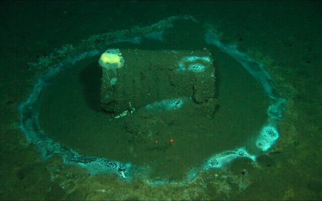 A barrel sits on the seafloor near the coast of Catalina Island, California, where marine scientists say they have found what they believe to be as many as 25,000 barrels that possibly contain DDT, March 2021. (David Valentine/UC Santa Barbara / RV Jason, via AP) A barrel sits on the seafloor near the coast of Catalina Island, California, where marine scientists say they have found what they believe to be as many as 25,000 barrels that possibly contain DDT, March 2021. (David Valentine/UC Santa Barbara / RV Jason, via AP)