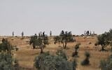 Settlers who allegedly attacked Palestinians in the south Hebron hills near the Palestinian town of al-Tuwani on April 24, 2021. (Eyal Huravni/ B'Tselem)