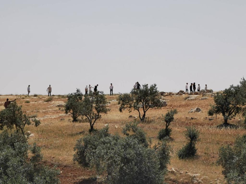 www.timesofisrael.com