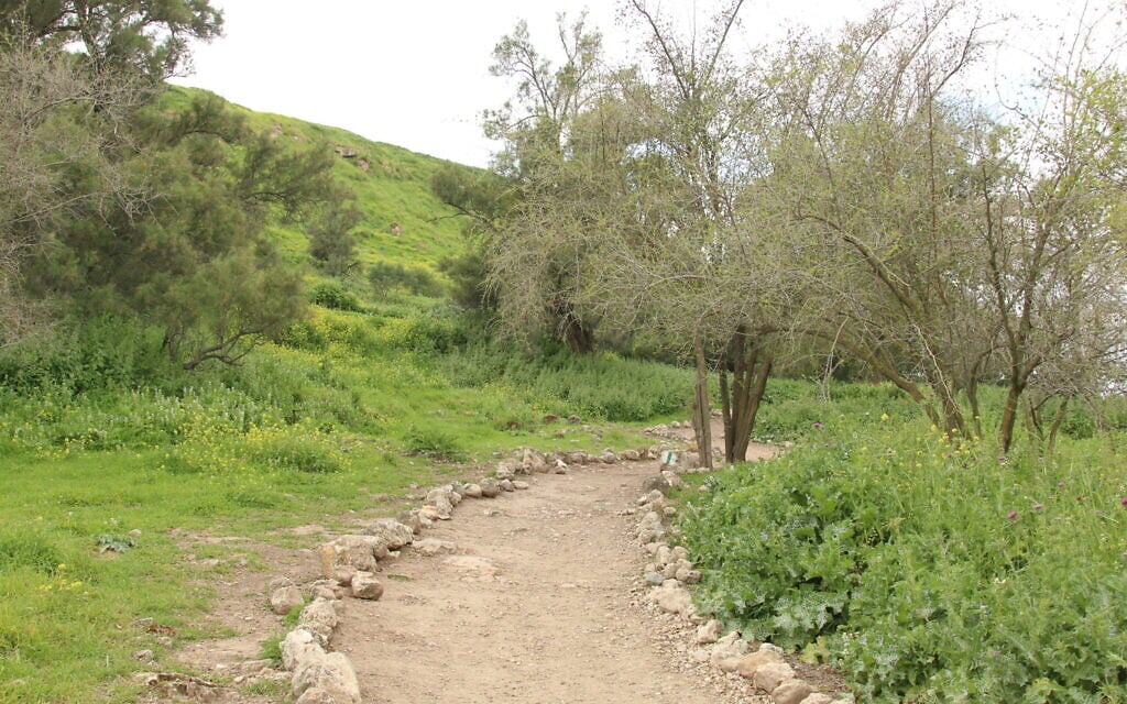 The start of the trail up to Tel Tzafit. (Shmuel Bar-Am)