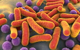 A 3D illustrative image of rod-shaped bacteria and cocci in the human microbiome (Dr_Microbe; iStock by Getty Images)