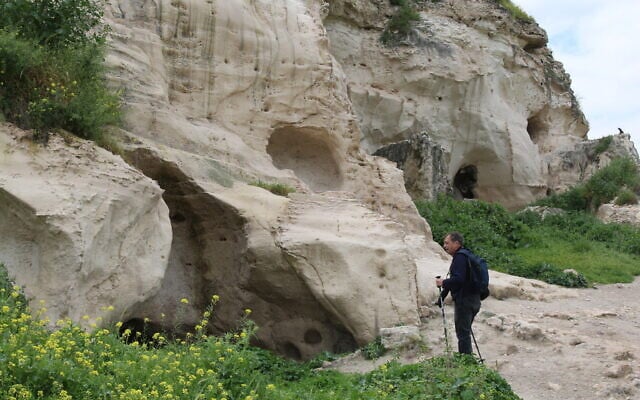 The white cliffs beneath the site of the Blanche Garde at Tel Tzafit. (Shmuel Bar-Am)