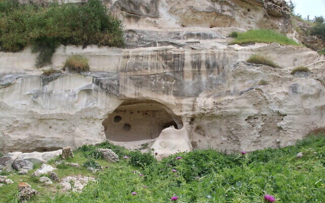 The white cliffs beneath the site of the Blanche Garde at Tel Tzafit. (Shmuel Bar-Am)