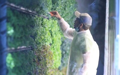 A Vertical Field farm installation (Courtesy)