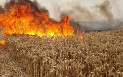 A field burns near Sderot in southern Israel on May 9, 2021. (Sha'ar Hanegev Regional Council)