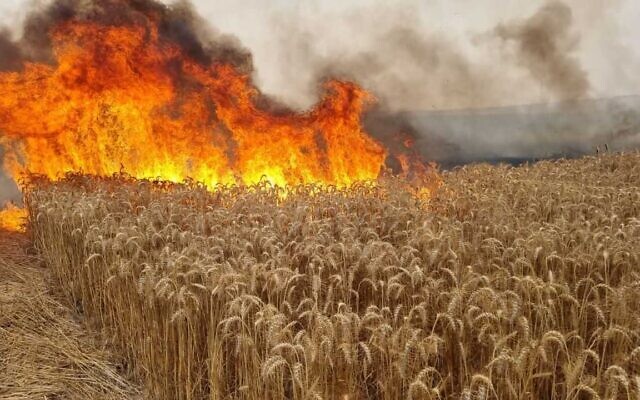 A field burns near Sderot in southern Israel on May 9, 2021. (Sha'ar Hanegev Regional Council) A field burns near Sderot in southern Israel on May 9, 2021. (Sha'ar Hanegev Regional Council)