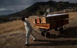 A funeral worker removes empty coffins that held remains that were later cremated amid the coronavirus pandemic, at La Recoleta cemetery in Santiago, Chile, April 21, 2021. (Esteban Felix/AP)