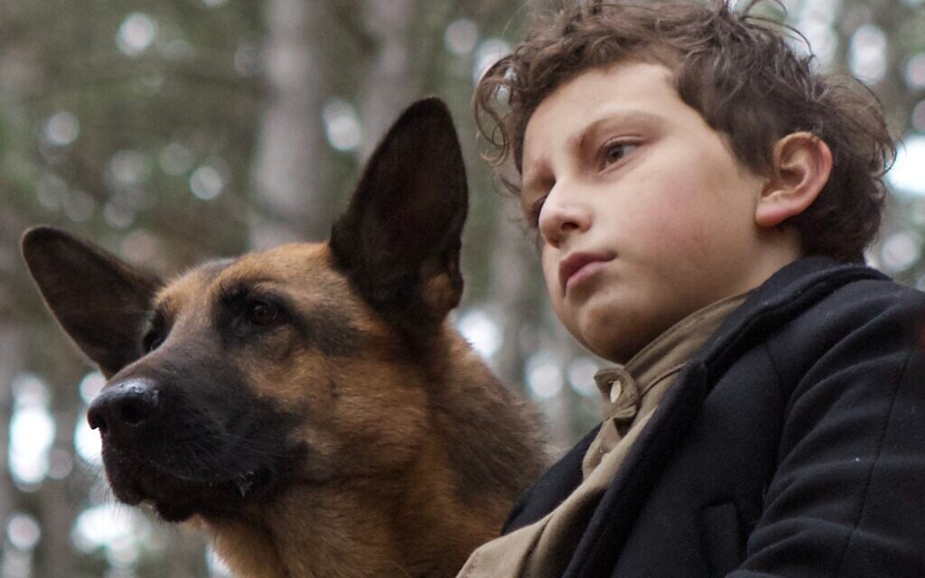 August Maturo as 'Joshua' and dog 'Caleb' in 'Shepherd: The Story of a Jewish Dog' (JDog Films)