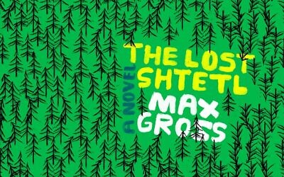 Cover of 'The Lost Shtetl' by Max Gross. (courtesy)