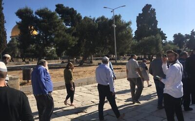 A group of religious Jews visit the Temple Mount in Jerusalem's Old City, after it was reopened to the public, May 23, 2021. (Courtesy)