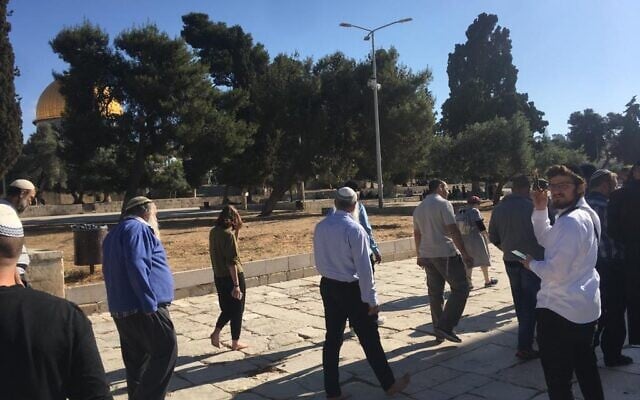 A group of religious Jews visit the Temple Mount in Jerusalem's Old City, after it was reopened to the public, May 23, 2021. (Courtesy) A group of religious Jews visit the Temple Mount in Jerusalem's Old City, after it was reopened to the public, May 23, 2021. (Courtesy)