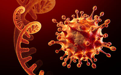 A microscopic view of  SARS-CoV-2 (CROCOTHERY via iStock by Getty Images)
