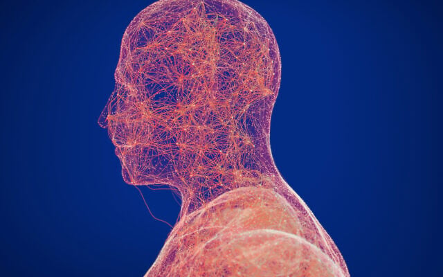 3D illustration of neural pathways, connecting parts of the brain. (ChrisChrisW via iStock by Getty Images) 3D illustration of neural pathways, connecting parts of the brain. (ChrisChrisW via iStock by Getty Images)