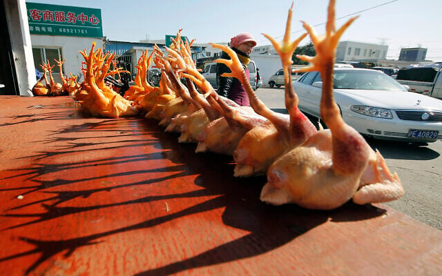 In this Tuesday Jan. 21, 2014, file photo, slaughtered chickens are displayed for sale at a wholesale poultry market in Shanghai. (AP Photo, File) In this Tuesday Jan. 21, 2014, file photo, slaughtered chickens are displayed for sale at a wholesale poultry market in Shanghai. (AP Photo, File)
