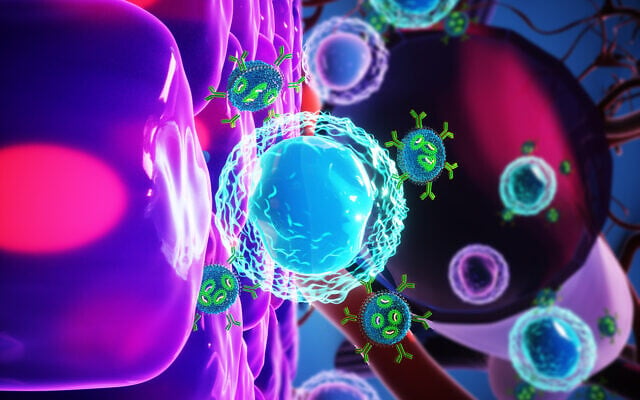 The new Tel Aviv University 'GPS-guided' nanoparticle drug, in blue and green, around an immune cell. (courtesy of Tel Aviv University) The new Tel Aviv University 'GPS-guided' nanoparticle drug, in blue and green, around an immune cell. (courtesy of Tel Aviv University)