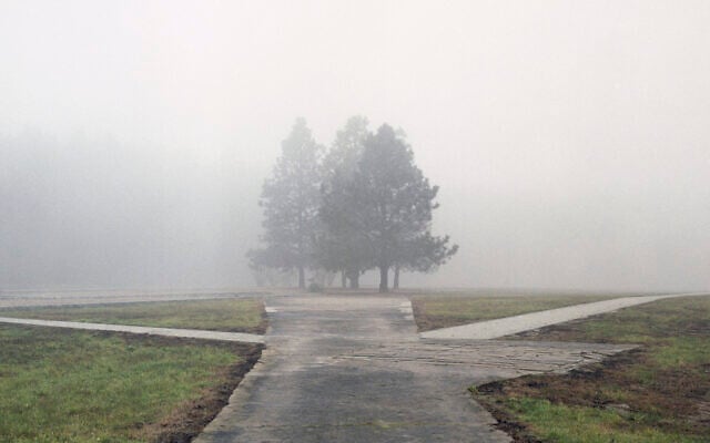 Area to right of crematoria, forest camp, Chelmno death camp. Rzuchow forest, Poland, 2015. (Marc Wilson)