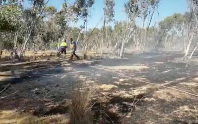 Fire damage to woodlands in southern Israel, allegedly caused by incendiary balloons from the Gaza Strip, June 17, 2021. (video screenshot) Fire damage to woodlands in southern Israel, allegedly caused by incendiary balloons from the Gaza Strip, June 17, 2021. (video screenshot)