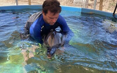 Nature and Parks Authority staff treat a wounded dolphin at the Sea Turtle Rescue Center in Mikhmoret, June 12, 2021 (Yali Mivorakh/Israel Nature and Parks Authority)