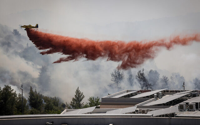 Firefighters try to extinguish a blaze that threatens Tzur Hadassah, outside of Jerusalem, on June 04, 2021. (Nati Shohat/FLASH90)
