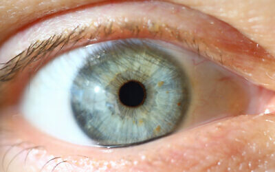 Illustrative image: a human eye (Ivan-balvan vua iStock by Getty Images)
