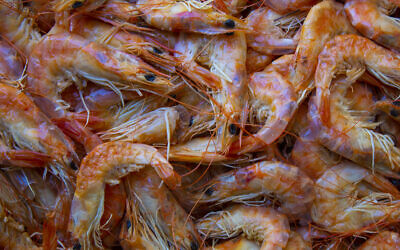 An illustrative image of dried shrimp (Maurian Soares Salvador; iStock by Getty Images)