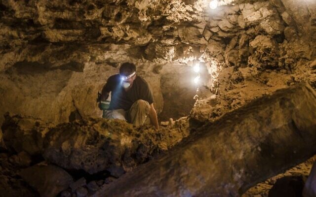 Researcher working in the cave where the remains of a maned rat were found (Haifa University)
