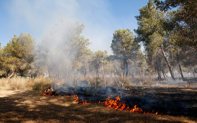 Firefighters try to extinguish a blaze in southern Israel that was sparked by a ballon-borne incendiary device launched by Palestinians in the Gaza Strip, on June 15, 2021. (Flash90) Firefighters try to extinguish a blaze in southern Israel that was sparked by a ballon-borne incendiary device launched by Palestinians in the Gaza Strip, on June 15, 2021. (Flash90)