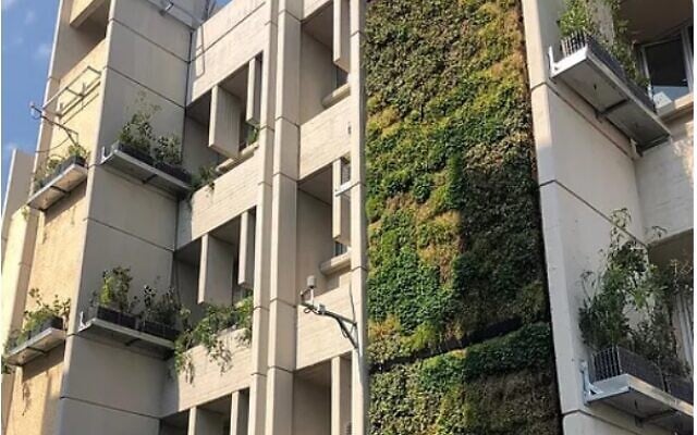 A building on the campus of Bar Ilan University, near Tel Aviv, whose facades have been largely covered by vegetation. (BIU Vertical Fields Project) A building on the campus of Bar Ilan University, near Tel Aviv, whose facades have been largely covered by vegetation. (BIU Vertical Fields Project)