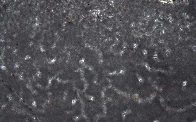 These microscopic 890-million-year-old fossils found in the Northwest Territories are thought to be the remains of an ancient sponge. (Elizabeth Turner/Laurentian University) These microscopic 890-million-year-old fossils found in the Northwest Territories are thought to be the remains of an ancient sponge. (Elizabeth Turner/Laurentian University)