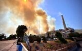 A man stands in front of the Kemerkoy Thermal Power Plant (R) with the blaze approaching in the background, in Milas, near Oren, on August 4, 2021. (SERDAR GURKAN / AFP)
