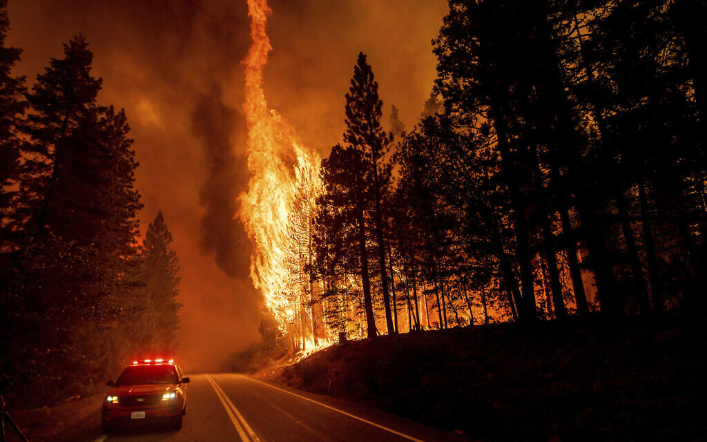 Flames leap from trees as the Dixie Fire jumps Highway 89 north of Greenville in Plumas County, California, on August 3, 2021. (AP Photo/Noah Berger) Flames leap from trees as the Dixie Fire jumps Highway 89 north of Greenville in Plumas County, California, on August 3, 2021. (AP Photo/Noah Berger)