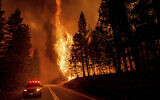 Flames leap from trees as the Dixie Fire jumps Highway 89 north of Greenville in Plumas County, California, on August 3, 2021. (AP Photo/Noah Berger)