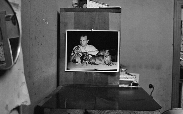 A picture displayed at the Carousel Club in Dallas, Texas, in November 1963 shows owner Jack Ruby with his pet dogs. (AP Photo)