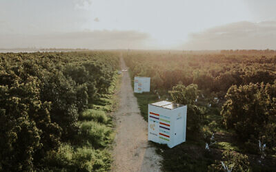 Beehomes by Beewise in the field. (Courtesy)