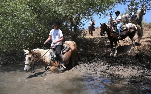 A group of Israelis ride horses through the Jordan River, near Dardara National Park in northern Israel, June 28, 2021. (Michael Giladi/Flash90)