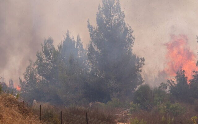 Firefighters try to extinguish a fire which broke out in a forest near Shoresh, outside of Jerusalem, August 3, 2021. (Yonatan Sindel/FLASH90)