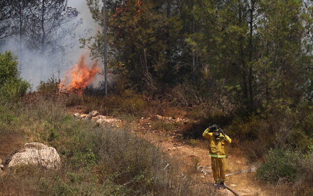 Firefighters try to extinguish a fire which broke out in a forest near Shoresh, outside of Jerusalem, August 3, 2021. (Yonatan Sindel/FLASH90)