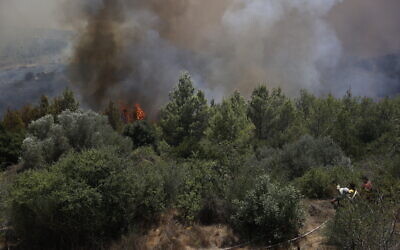Firefighters try to extinguish a fire which broke out in a forest near Shoresh, outside of Jerusalem, August 3, 2021. (Yonatan Sindel/FLASH90)