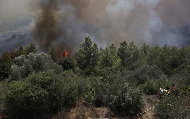 Firefighters try to extinguish a fire which broke out in a forest near Shoresh, outside of Jerusalem, August 3, 2021. (Yonatan Sindel/FLASH90)