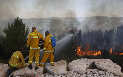Firefighters try to extinguish a fire which broke out in a forest near Shoresh, outside of Jerusalem, August 3, 2021. (Yonatan Sindel/FLASH90)